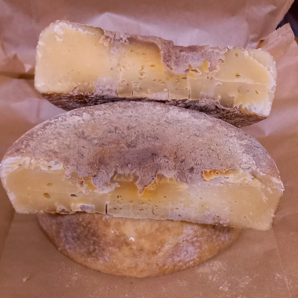 Formaggio Crottino invecchiato